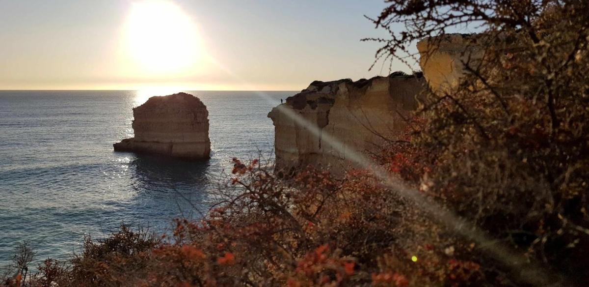 Albufeira Sea Viewアパートメント エクステリア 写真
