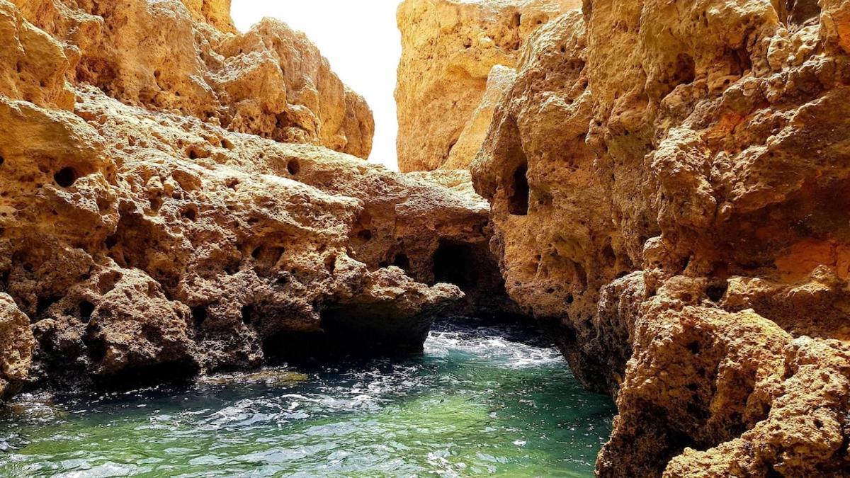 Albufeira Sea Viewアパートメント エクステリア 写真