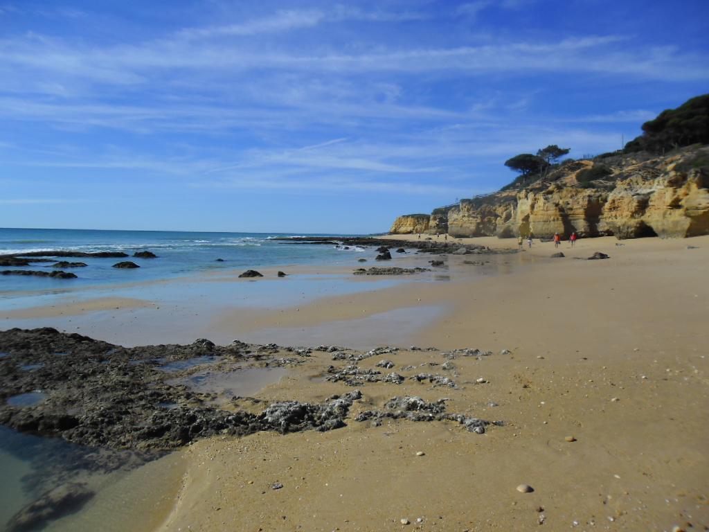 Albufeira Sea Viewアパートメント エクステリア 写真